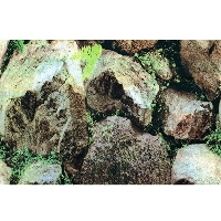 Background - nature rock  -  WC2200